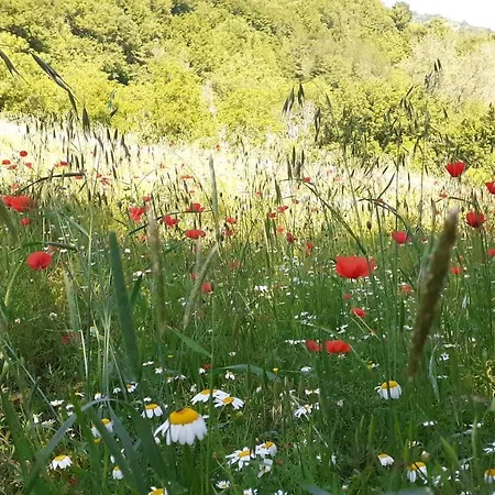 Marcofrate, A Retreat In The Nature *