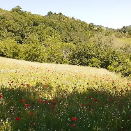 Marcofrate, A Retreat In The Nature Valtopina