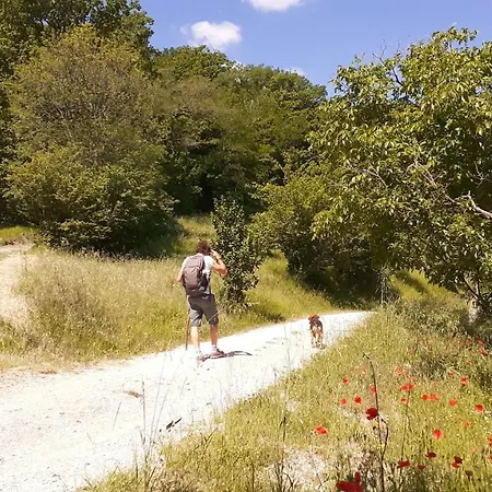 Alloggio per agriturismo Marcofrate, A Retreat In The Nature Valtopina